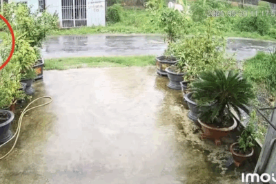 Cả nước hướng về Trà Vinh: Trời ơi sao lại xảy ra chuyện kinhkhung vậy chứ, x:.ót xa quá
