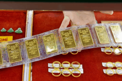 Cả nước s:ố;c nặng khi đọc kết luận thanh tra của Ngân hàng Nhà nước về vàng SJC: Một mình Tổng giám đốc tự quyết giá vàng
