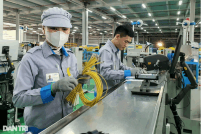 Việc làm cho cán bộ không chuyên trách cấp xã sau khi sắp xếp: nhiều người dở khóc dở cười