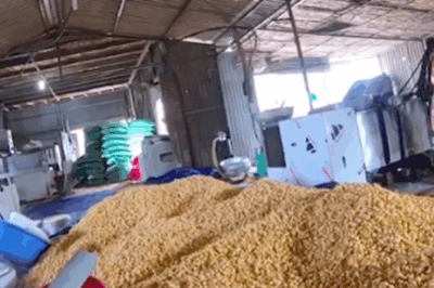 kinhhai bi;m bi;m làm từ thức ăn chăn nuôi; bán theo cân rẻ bèo, bảo sao trẻ con bây giờ dậy thì sớm thế