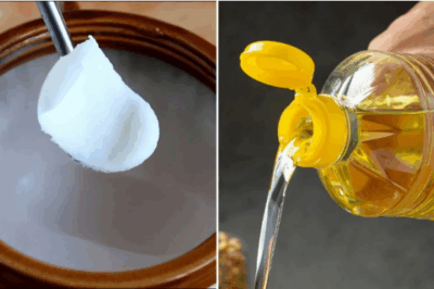 Mỡ lợn hay dầu ăn tốt hơn, nhiều người đang hiểu và dùng sai mà không hề hay biết