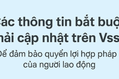 Hàng triệu người hãy làm ngay điều này trên VssID từ 1/7 nếu không muốn mất quyền lợi