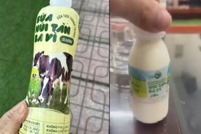 60 trường học ở Hà Nội tạm d;;ừng cho học sinh uống sữa NT Ba Vì! Xem kết quả kiểm nghiệm mới bất ngờ