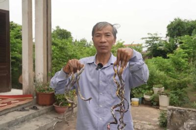 R:.ùng m:;ình phát hiện móng tay dài 5 mét được dùng để… gọi h:.ồn, chủ nhân rao bán 7 tỷ kèm lời cảnh báo l:.ạnh g:.áy!