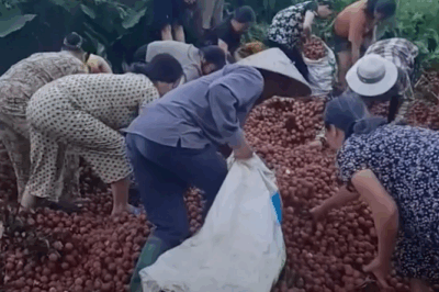 Vụ ô tô chở 4 tấn vải bị lật: Số tiền người dân chuyển cho chủ xe đã tăng lên một con số b-ấ-t n-gờ