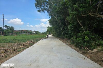 Đường bê tông bất ngờ xuất hiện chỉ sau một đêm, chính quyền không biết?