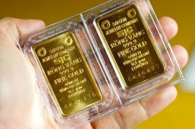 Vàng miếng “mở cửa”: Cơ hội đầu tư hay b/ẫy r:ủi r:o?