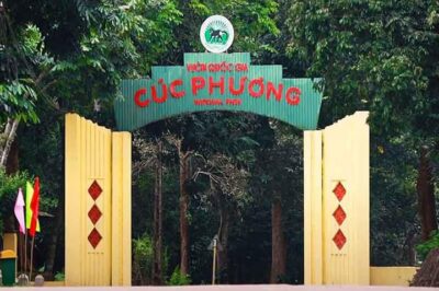 Trời ơi lại đến Cúc Phương nữa rồi! Đừng ai đi vào rừng 1 mình nữa