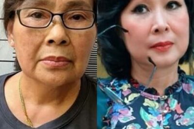 NSND Hồng Vân b::ức x;:úc lên tiếng về thông tin liên quan đến “đường dây nghìn tỷ”
