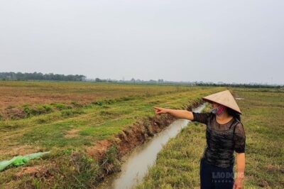 Bị thu hồi đất, được nhận nhà ở? Nhiều người không tin cho đến khi đọc kỹ quy định này…