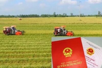 Thu hồi đất nông nghiệp, được cấp nhà ở thay vì tiền? Người dân cần biết ngay trước khi quá muộn!