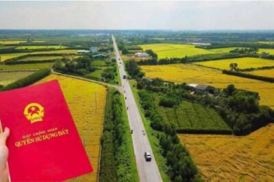 Kể từ bây giờ, tự ý chuyển đất trồng lúa sang đất ở tại Hà Nội sẽ bị ph_ạ:t n:;ặng gấp đôi