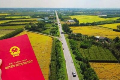 Lộ thông tin mới: Từ tháng 9 này, đất nông nghiệp bị thu hồi có thể được đổi thành nhà? Người dân C::oi ch:ừng b:ỏ lỡ quyền lợi!