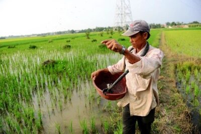 Từ 2025 này: M-ấ::t đất nông nghiệp có thể nhận nhà ở? Thông tin khiến người dân đ::ổ x::ô tìm hiểu