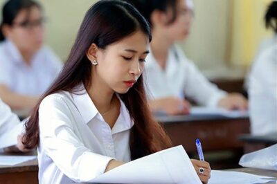 Điểm chuẩn tất cả các trường đại học 2025:  Phân hoá mạnh ở ngành hot này