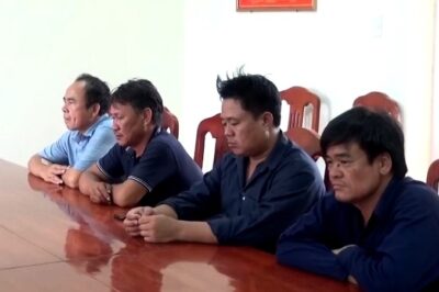 Thuyền trưởng 4 tàu cá ở TP.HCM bị Biên phòng Quảng Trị x:ử ph:ạt gần 900 triệu đồng vì v:i ph:ạm IUU