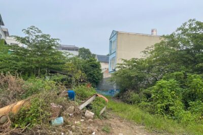 Miễn tiền sử dụng đất nông nghiệp: Đối tượng nào sẽ được hưởng lợi?