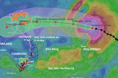 Siêu b::ão Ragasa di chuyển th::ần t::ốc hướng về Quảng Ninh – Ninh Bình, dự báo mưa gió d:ữ d:ội, diễn biến còn khó lường