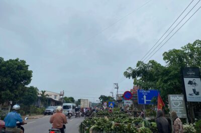 ‘Chợ chuối’ Tân Long sau vụ TAINAN khiến 3 người TUVONG  chính thức chuẩn bị di dời, sẽ có chợ chuối mới