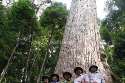 Chính thức 4 cán bộ kiểm lâm Thanh Hóa bị b::ắt…. Troi ơi bảo sao liên tục có th::iên t::ai