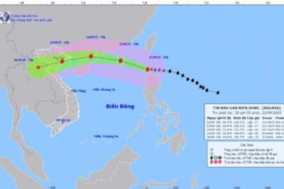 Siêu b::ão d:ữ d::ội nhất hành tinh năm 2025 chắc chắn đ::ổ bộ vào nước ta, khi nào bắt đầu mưa to gió lớn?
