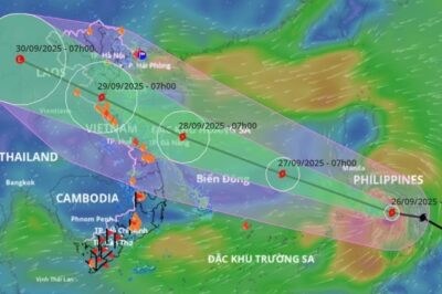 Tin mới nhất về b:ão Bualoi: Đi nhanh gấp đôi bình thường, sẽ đ::ổ b::ộ vào nước ta gây mưa rất to
