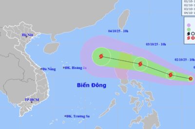Áp thấp nhiệt đới vừa hình thành, khả năng mạnh thành b::ão trong sáng 2/10 rồi TROI OI